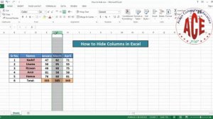 Hide Columns in Excel In Urdu/Hindi | How To Hide and Unhide Columns in MS Excel|Excel Tips & Trick