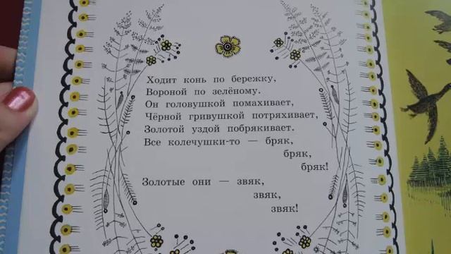 Обзор книги Чудо радуга смотреть онлайн