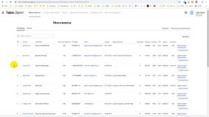 Инструкция как дать доступ к рекламному кабинету Яндекс Директ и Google Реклама