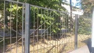 Про больницу имени Мухина.