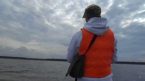 Ловля окуня на Рыбинском водохранилище на отводной поводок 2013.