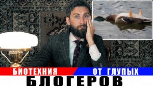 Больные утки - смертельная опасность