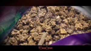 Семена Свекла кормовая "Рекорд Поли" - Помидорчик