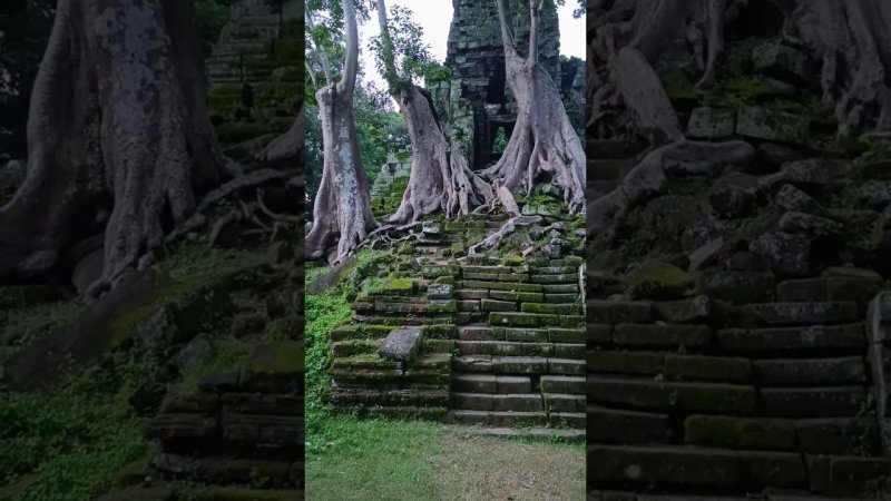 Angkor thom #cambodia