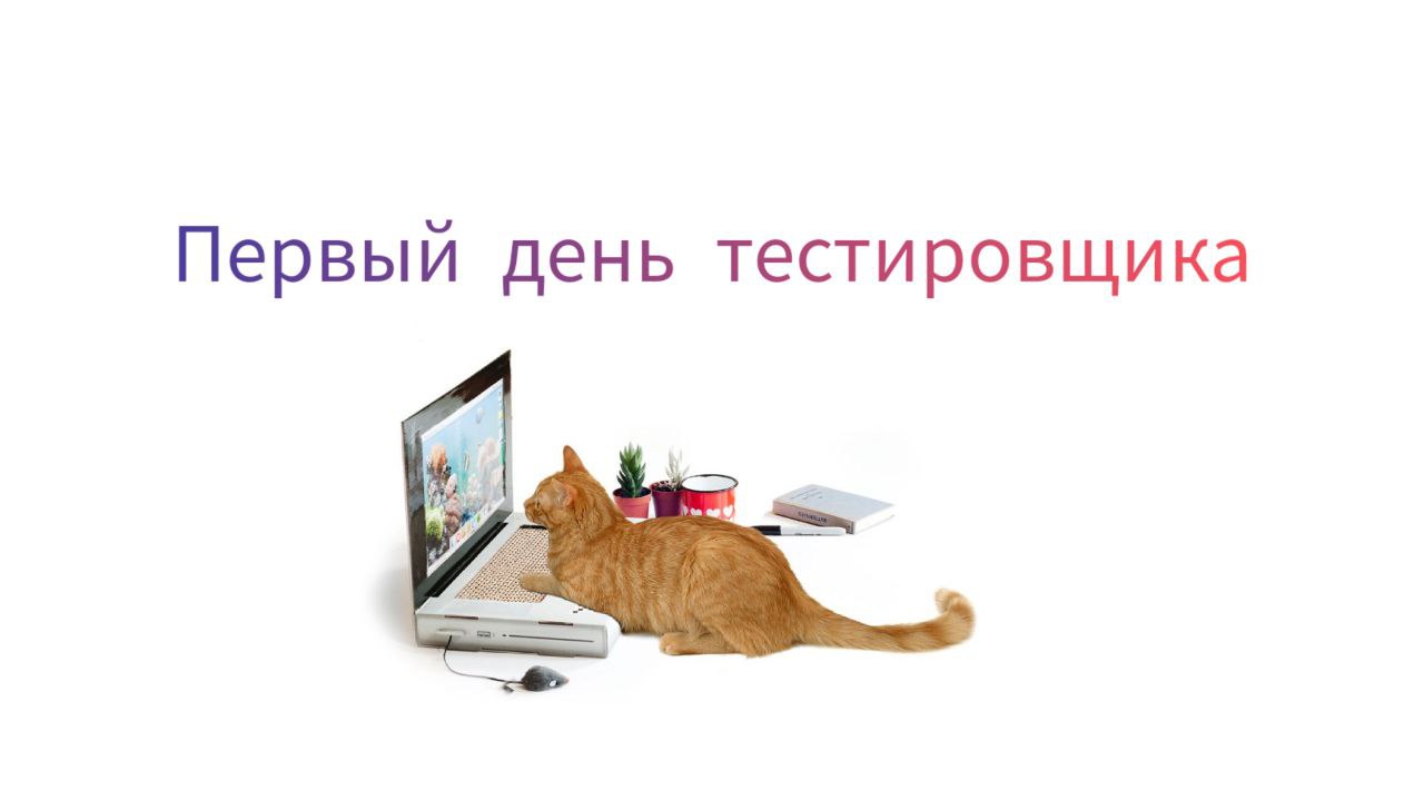 ПЕРВЫЙ ДЕНЬ В КАЧЕСТВЕ ТЕСТИРОВЩИКА | Что делает  qa тестер в первый рабочий день 26 июл. 2021 г.