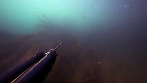 ОТЧЕТ О ПОДВОДНОЙ ОХОТЕ. РЕКА БОЛШОЙ ИК / Sony X3000