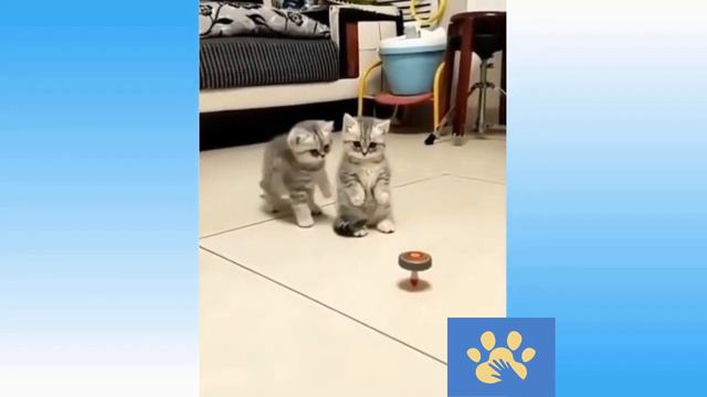 Забавные Животные | Юмор Для Поднятия Настроения