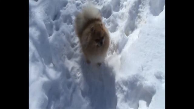 Спрайт принимает солнечные ванны смотреть онлайн