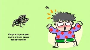 Пространство и время. Философия. Урок 61