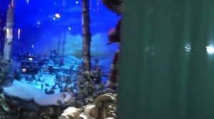 Fortnum and Mason, London, Christmas scheme 2013