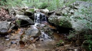 Шум ручья (успокаивающий звук журчания лесного ручья)/видео ручья/3 часа/the soothing sound