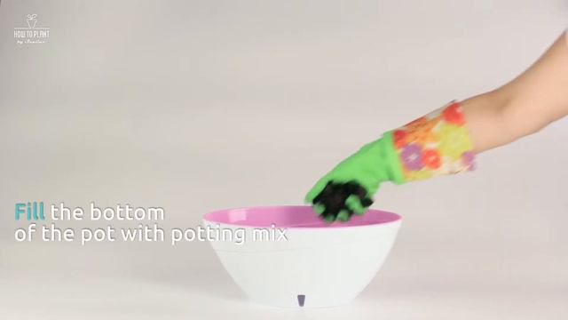 How To Plant ORCHID in an innovative Self-Watering pot CALIPSO by Santino