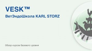 VESK™ — ВетЭндоШкола KARL STORZ. Обзор курсов базового уровня.