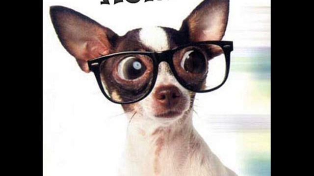 Pista Bachata Instrumental (D-Flo) смотреть онлайн