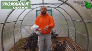 НЕ ВЫБРАСЫВАЙТЕ! Как использовать грибные очистки, грибной компост и отработанный мицелий.