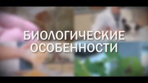 Вирус красной пятнистости листьев винограда (Grapevine red blotch virus)