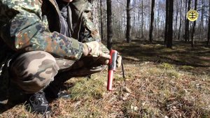 Pinpointer Fisher F-Pulse и золото