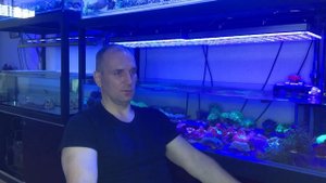 "Рифовый Аквариум" Рыбы Хирурги. Часть 42