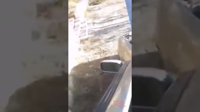 Palio yardımlaşma grubu arıza videoları-1 смотреть онлайн