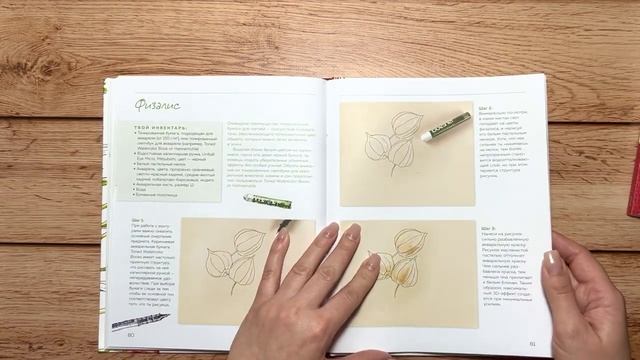 Мои книги по ботанической иллюстрации. Часть 2 | My botanical illustration books collection part 2 смотреть онлайн