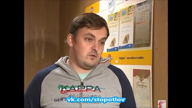 Зоозащитники бьют тревогу из за содержания животных в приюте