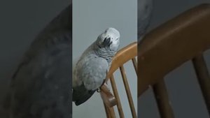 когда ребенок не хочет в садик и притворяется.