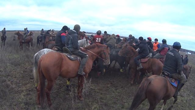 Аламан улак Ростов шаарында Медет Балбан ?Байтору менен ? #россиятулпар #аламанулак #кокбору #кокпа смотреть онлайн