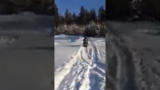 Дмитрий на Динго смотреть онлайн