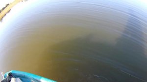 #rechnaya_life Отличный клев воблы в сентябре. Река Берекет