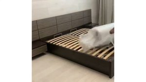 Распаковка беспружинного матраса EcoMily