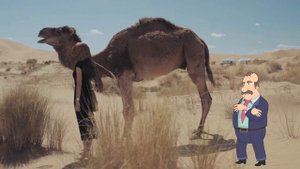 0+ Верблюд. Интересные факты. Почемучка. Детская энциклопедия.