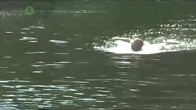 Вологде официально закрывается единственный городской пляж смотреть онлайн