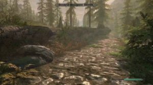 ?LIVE - Skyrim - Shadow Illusionist - A Fresh Start? 1