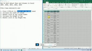 How to Auto Adjust Rows and Columns in Excel 2007, 2010, 2013, 2016, 2019