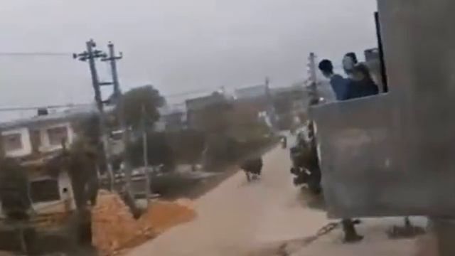 Носорог в городе смотреть онлайн