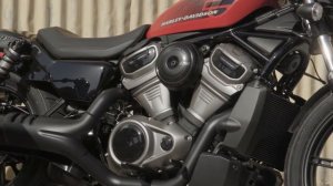 2022 Harley Davidson Nightster Model Recall! This is Bad!