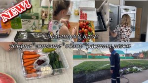VLOG: ОЛАДЬИ/Уборка в ХОЛОДИЛЬНИКЕ/ГОНИТЕ ТАКИХ/Растим ГАЗОН