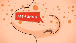 #luckykids познавательный для детей. Зачем божьей коровке чёрные точки на крыльях