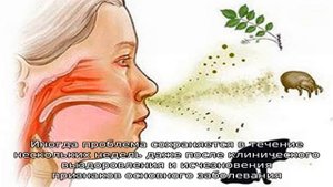 Треск в ухе - почему оно трещит и скрипит