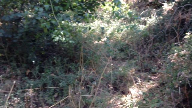 участок 5сот Симеиз Голубой залив смотреть онлайн