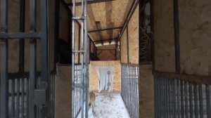 #Зимний летний вольер #Вольер с подогревом #Вольер для щенка Малинуа #Хард мощная челюсть