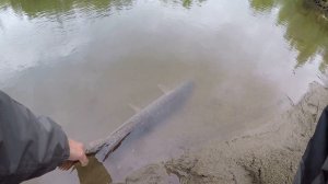 Джиг на малой реке