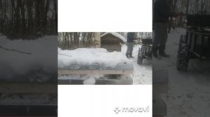 100% избавление от злых пчел!