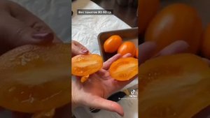 Помидоры Органза