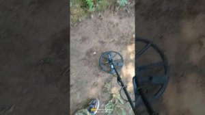Minelab Equinox 900 deep test 50 &45 cm target