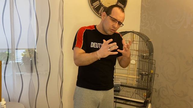 #волнистый Попугай Тоша и Кира Содержание советы 🦜 смотреть онлайн