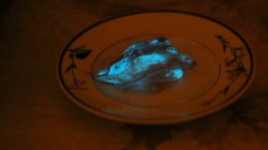 Куриное мясо светится в темноте