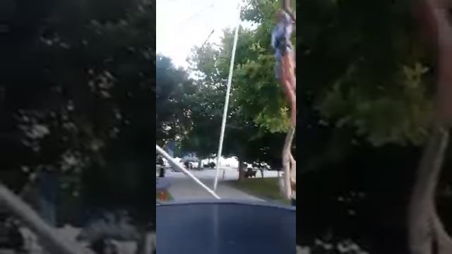 я и мой брат на батуте смотреть онлайн