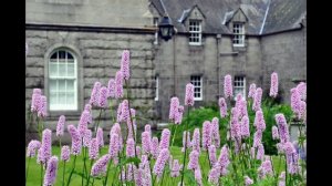 Летняя резиденция английской королевы - замок Балморал.  Шотландия.