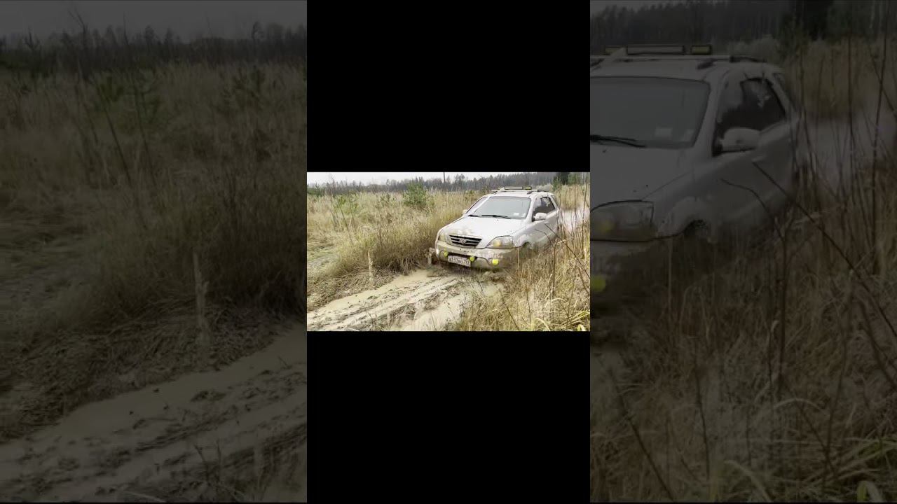 Грязевые ванны Kia Sorento #offroad #бездорожье #kia #sorento смотреть онлайн